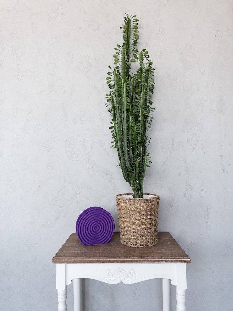 Plum fiolet 8