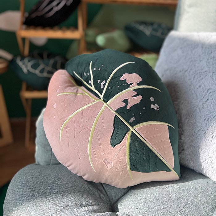 Anturium Hot Barbie Pink Variegata