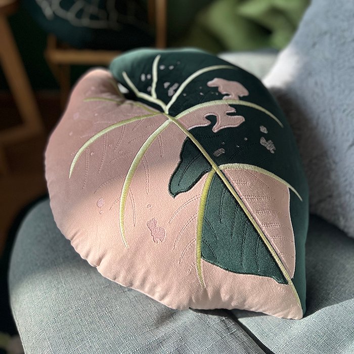 Anturium Hot Barbie Pink Variegata