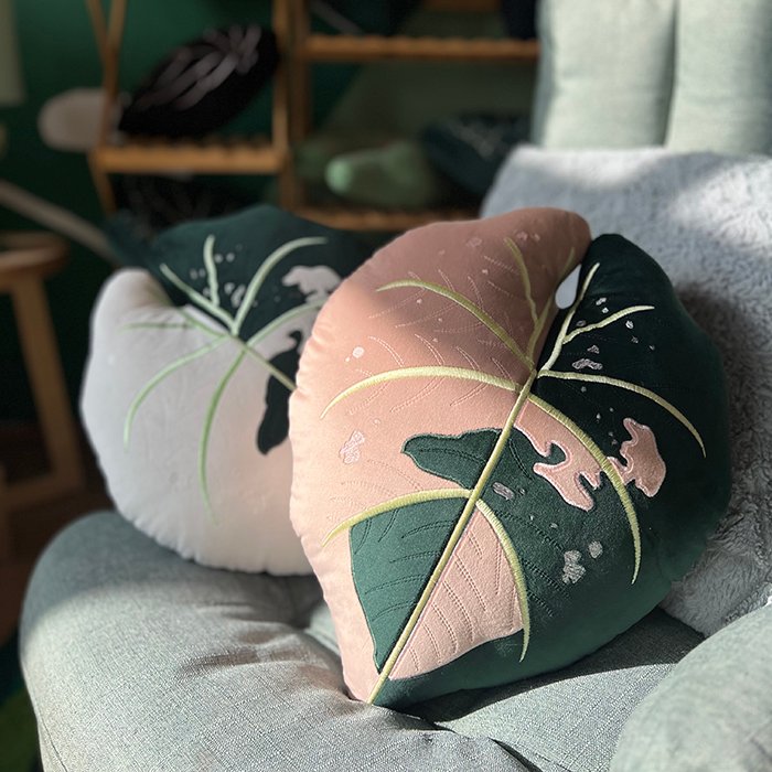 Anturium Hot Barbie Pink Variegata