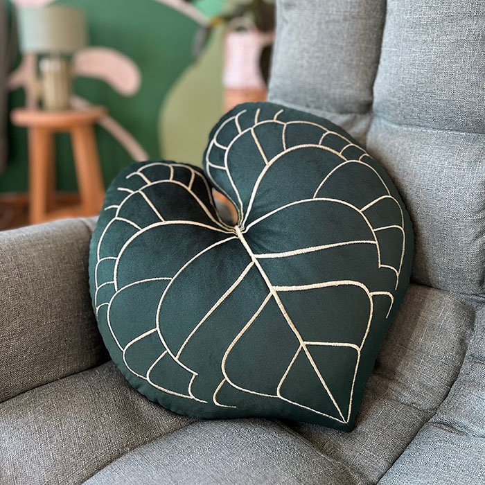 Anthurium Clarinervium Fluo