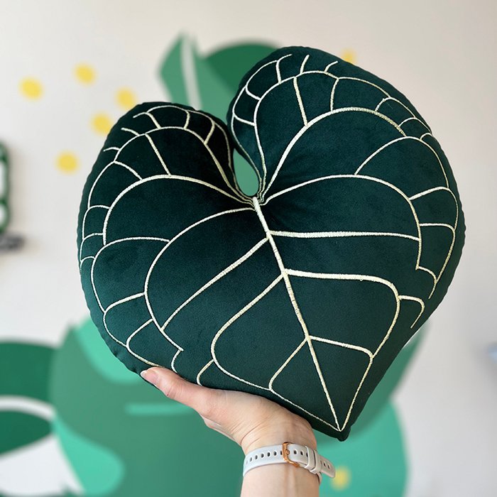 Anthurium Clarinervium Fluo